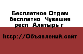 Бесплатное Отдам бесплатно. Чувашия респ.,Алатырь г.